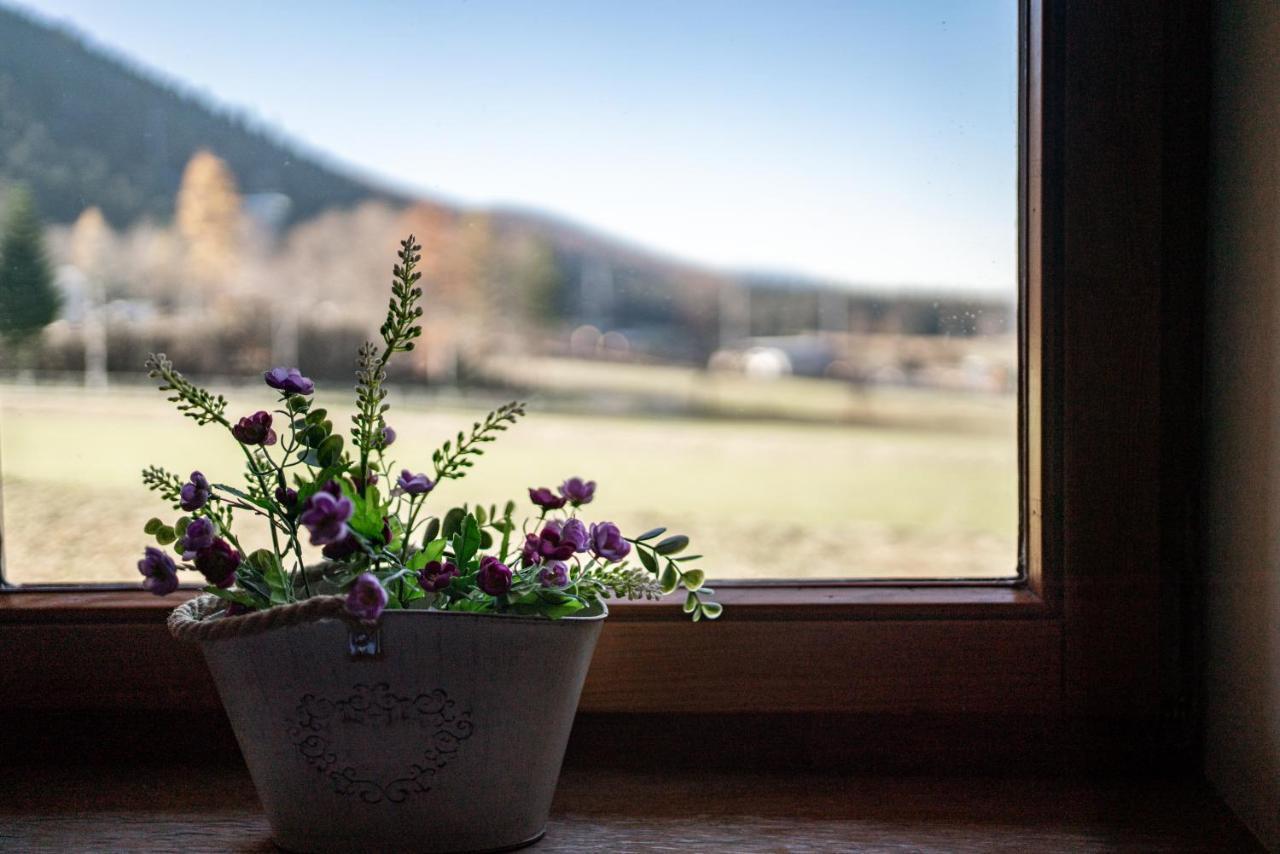Apartamenty Bogowka 11 Zakopane Dış mekan fotoğraf